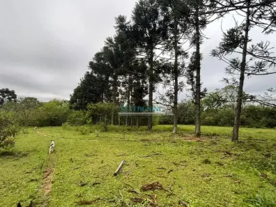 Fazenda/Sítio com 3 Quartos à venda, 42000m² no Vila Cledi, Gravataí