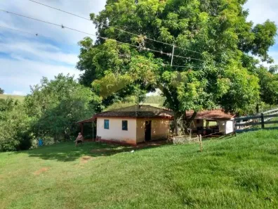 com 3 Quartos à venda, 48000m² no Vila Esperança II, Fartura