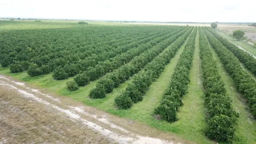 Fazenda/Sítio com 1 Quarto à venda, 732480m² no Lagoa Redonda, Itapicuru