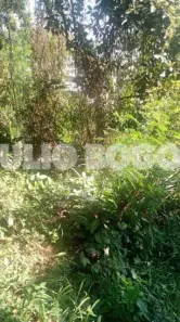 Lote/Terreno à venda, 498m² no Cacuia, Rio de Janeiro