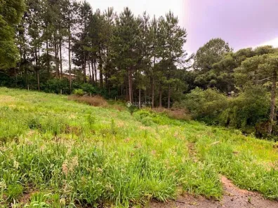 Lote/Terreno à venda, 840m² no Centro, São Francisco de Paula