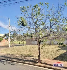 Lote/Terreno à venda, 260m² no Parque Residencial J. Macedo, São José do Rio Preto