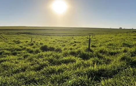 Fazenda/Sítio à venda, 2904000m² no , Santo Inácio