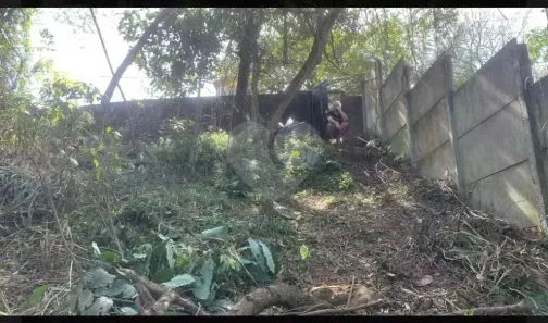 Lote/Terreno à venda, 548m² no Jardim Peri Peri, São Paulo