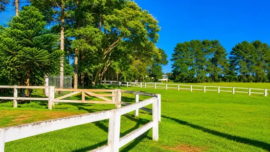 Fazenda/Sítio com 4 Quartos à venda, 10m² no Área Rural de São José dos Pinhais, São José dos Pinhais