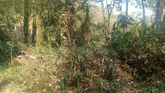 Lote/Terreno à venda, 3758m² no Caraguatá, Mairiporã