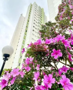 Apartamento com 3 Quartos à venda, 82m² no Jardim Las Vegas, Guarulhos