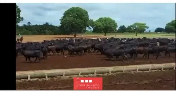Fazenda/Sítio à venda, 102800000m² no Centro, Unaí