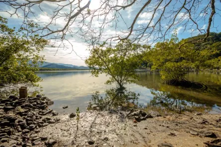 Lote/Terreno à venda, 40435m² no Balneario Praia do Perequê, Guarujá
