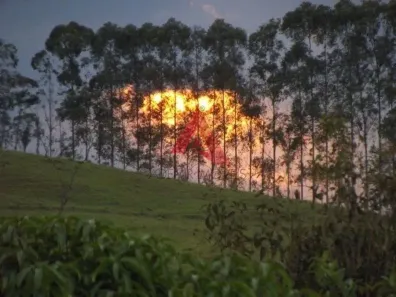 Fazenda/Sítio com 2 Quartos à venda, 5000m² no Chácara Marambaia, Caçapava