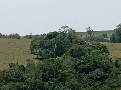 Fazenda/Sítio com 2 Quartos à venda, 169400m² no , São Miguel Arcanjo