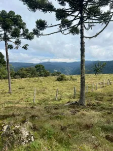 Lote/Terreno à venda, 300000m² no , Urubici