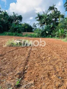 Lote/Terreno à venda, 572m² no Avaí, Guaramirim