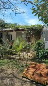 Casa com 3 Quartos à venda, 180m² no Campeche, Florianópolis