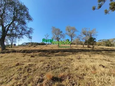 Fazenda/Sítio à venda, 87800m² no , Cunha