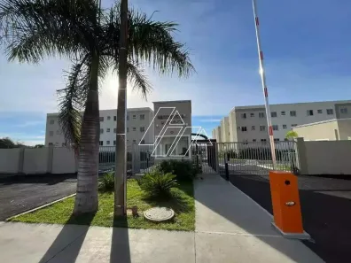 Apartamento com 2 Quartos para alugar, 50m² no Parque das Vivendas, Marília