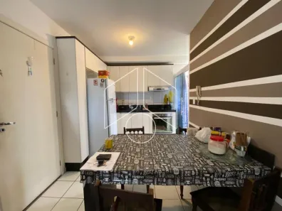 Apartamento com 2 Quartos à venda, 47m² no Jardim Monte Castelo, Marília