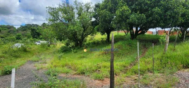 Lote/Terreno à venda, 42078m² no Engenho Seco, Louveira