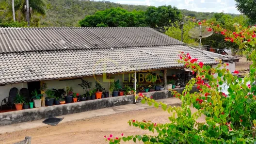 Fazenda/Sítio com 3 Quartos à venda, 670000m² no Centro, Alexânia