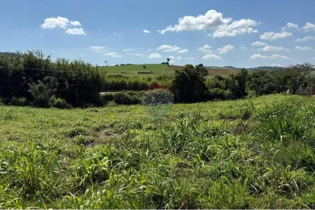 Lote/Terreno à venda, 1077m² no , Tuiuti