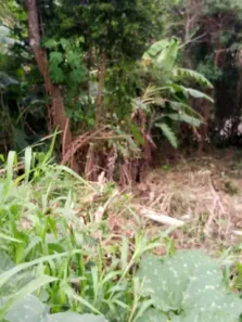 Lote/Terreno à venda, 500m² no Fazendinha, Teresópolis