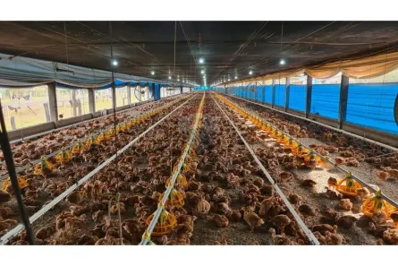 com 7 Quartos à venda, 932000m² no Vila Arquelau, Uberaba