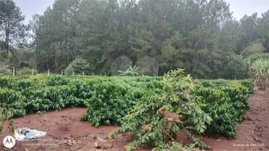 Fazenda/Sítio à venda, 2500m² no Campo Grande, Pilar do Sul