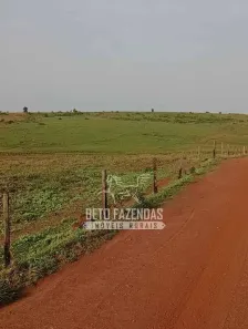 Fazenda/Sítio à venda, 96800000m² no , Cocalinho
