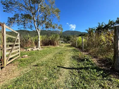 Fazenda/Sítio com 4 Quartos à venda, 70m² no , Paulo Lopes