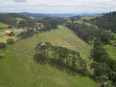 Lote/Terreno à venda, 20000m² no , Gonçalves