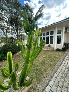 Casa com 4 Quartos à venda, 228m² no Cidade Alta, Araranguá