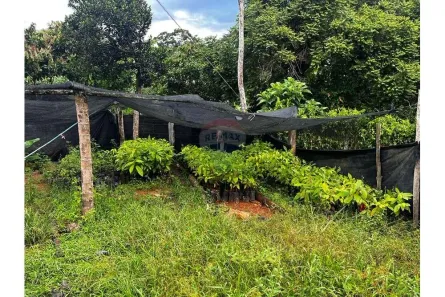 Fazenda/Sítio à venda, 81000m² no ZONA RURAL BR101 KM 802, Itamaraju