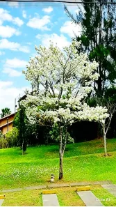 Lote/Terreno à venda, 1128m² no Alphaville, Santana de Parnaíba