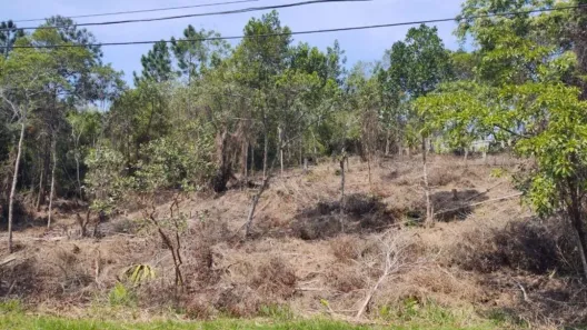 Lote/Terreno à venda, 1500m² no João Paulo, Florianópolis