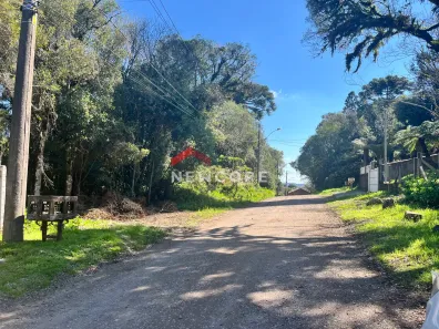 Lote/Terreno à venda, 420m² no Centro, São Francisco de Paula