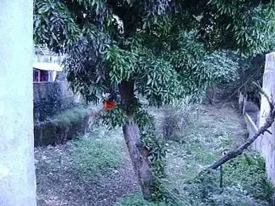 Lote/Terreno à venda, 642m² no Boa Vista, São Caetano do Sul