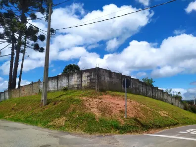 Lote/Terreno à venda, 1425m² no Borda do Campo, São José dos Pinhais