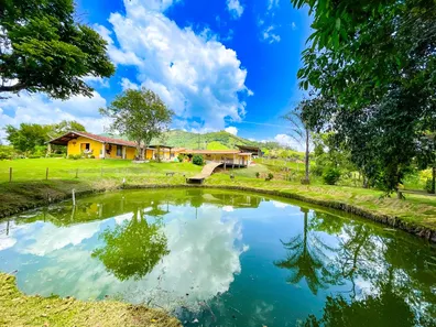 Fazenda/Sítio com 2 Quartos à venda, 8000m² no Centro, Socorro