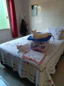 Casa com 2 Quartos à venda, 100m² no Tapera da Base, Florianópolis