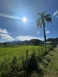 Lote/Terreno à venda, 7162m² no Alto São Bento, Itapema