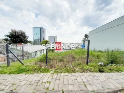 Lote/Terreno para alugar, 350m² no Madureira, Caxias do Sul