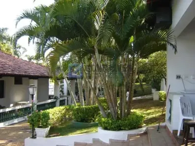Fazenda/Sítio com 4 Quartos à venda, 400m² no Theodoro de Souza Barros, São Pedro
