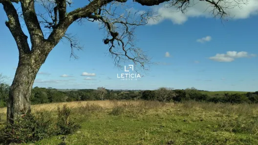 Fazenda/Sítio à venda, 250000m² no Boi Morto, Santa Maria
