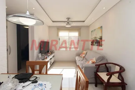 Apartamento com 2 Quartos à venda, 52m² no Jardim Leonor Mendes de Barros, São Paulo