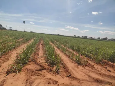 Fazenda/Sítio à venda, 1064800m² no , Nhandeara