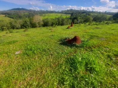 Fazenda/Sítio à venda, 440000m² no , Cláudio