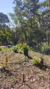 Lote/Terreno à venda, 810m² no Veredas das Geraes, Nova Lima
