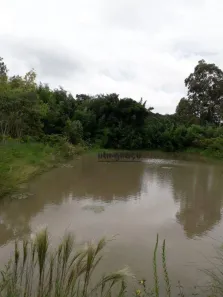 Fazenda/Sítio à venda, 150040m² no Jardim Monte Santo, Itapetininga