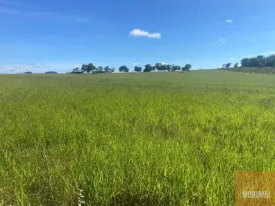 Fazenda/Sítio com 1 Quarto à venda, 1834000m² no , Camapuã