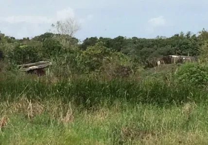 Lote/Terreno à venda, 56562m² no Jardim Ribamar, Peruíbe